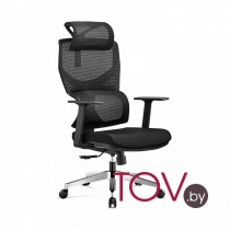 Situp Craft chrome (сетка black/black)